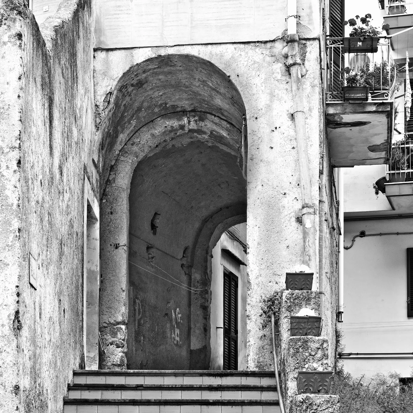 territorio Miele Artigianale dei Monti Picentini