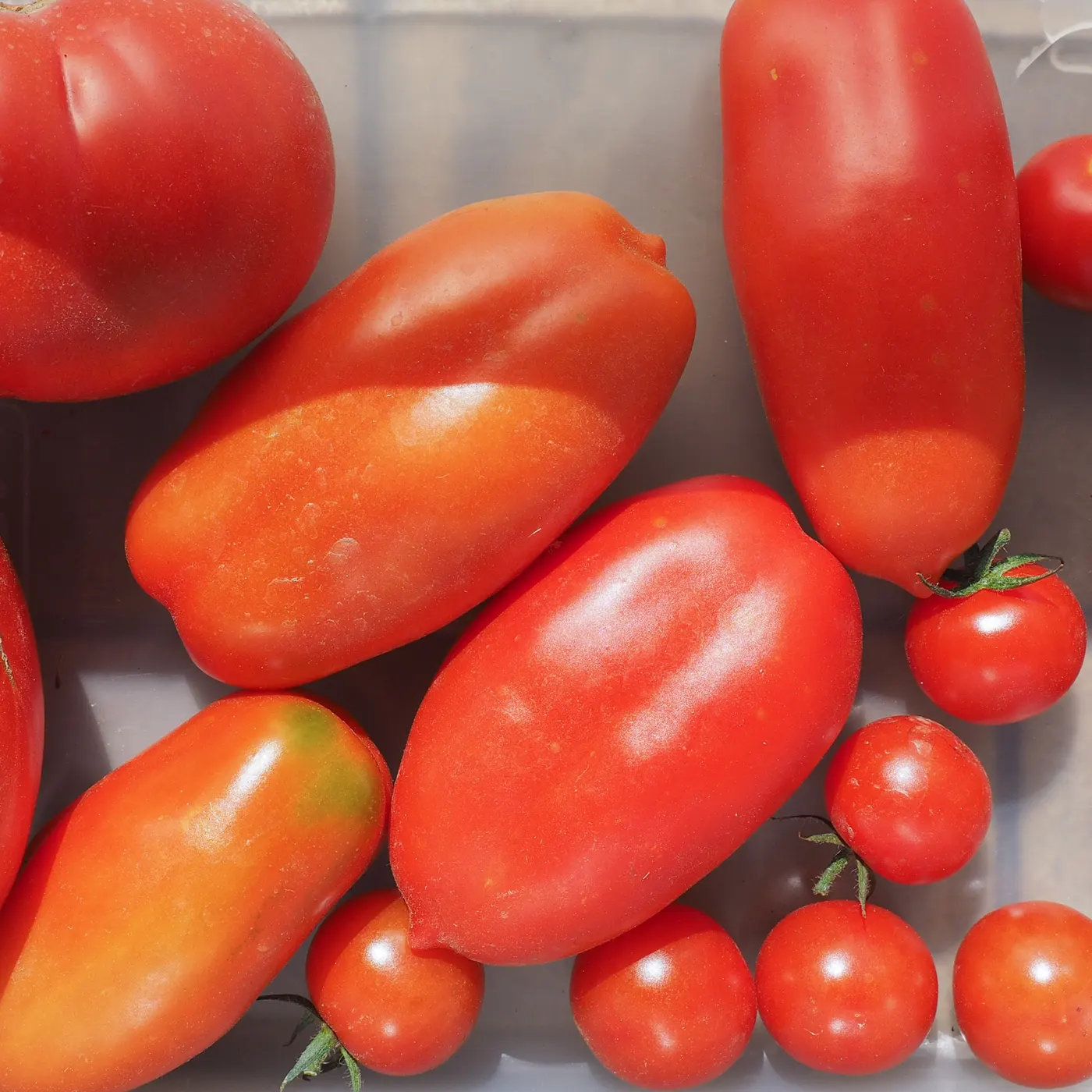 territorio Passata di Pomodoro San Marzano DOP